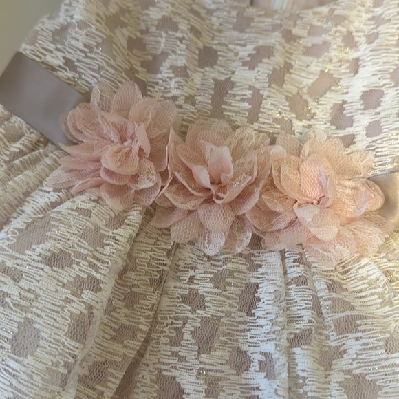 Iris and Ivy tulle dress with nappy in pink and gold. Size 18 months - Picture 2 of 4